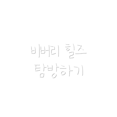 비버리 힐즈 탐방하기