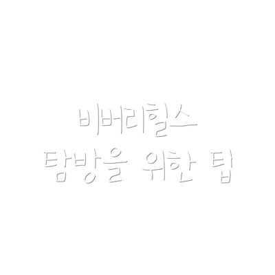 비버리힐스 탐방을 위한 팁