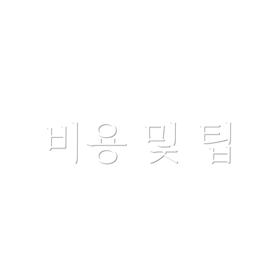 비용 및 팁
