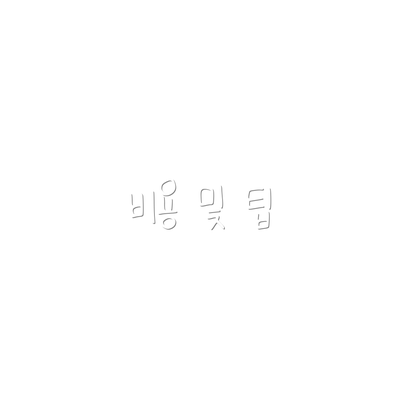 비용 및 팁