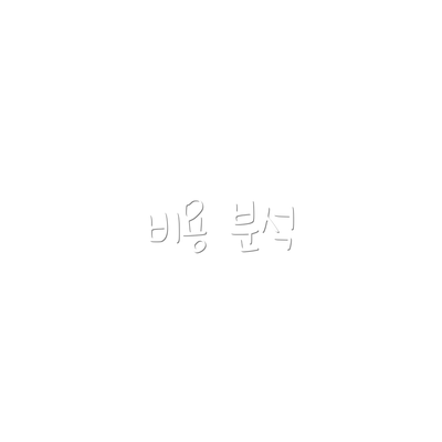 비용 분석