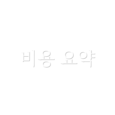 비용 요약