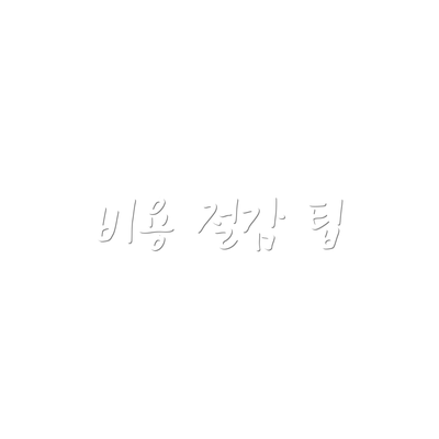 비용 절감 팁