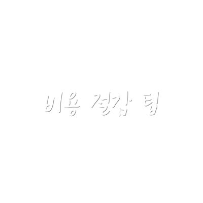 비용 절감 팁