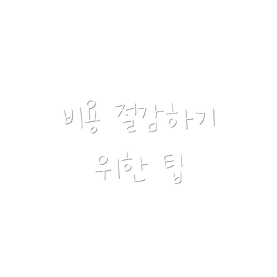 비용 절감하기 위한 팁