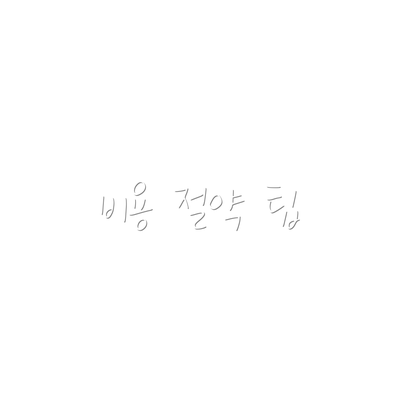비용 절약 팁