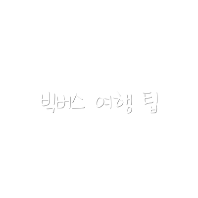 빅버스 여행 팁