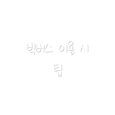 빅버스 이용 시 팁