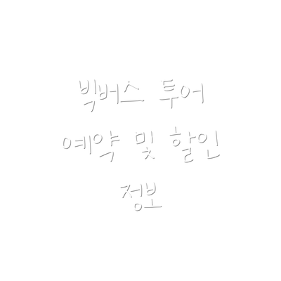 빅버스 투어 예약 및 할인 정보