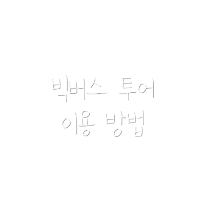 빅버스 투어 이용 방법