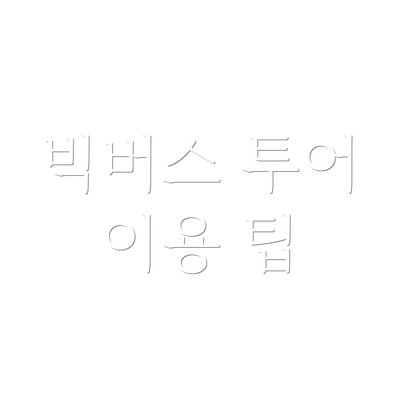 빅버스 투어 이용 팁