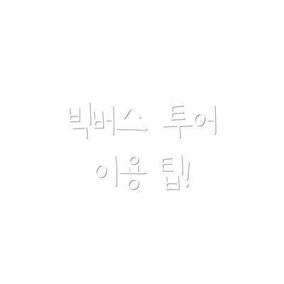 빅버스 투어 이용 팁!
