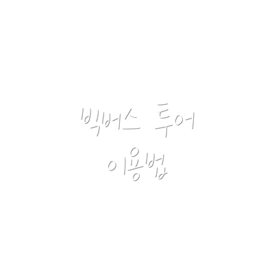 빅버스 투어 이용법