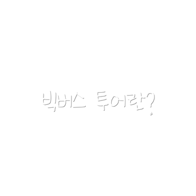 빅버스 투어란?