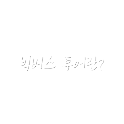 빅버스 투어란?