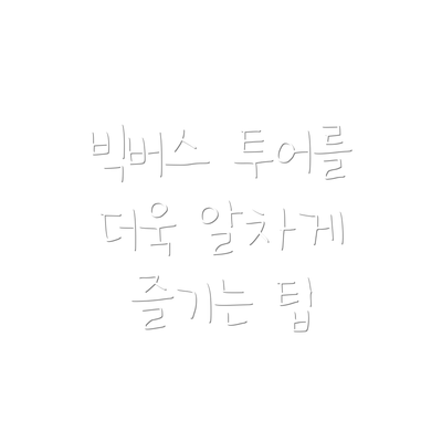 빅버스 투어를 더욱 알차게 즐기는 팁