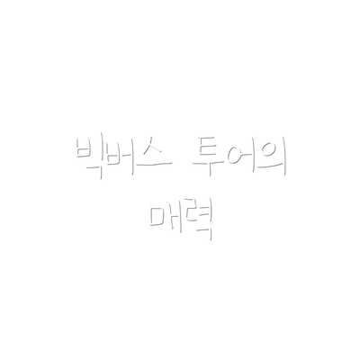 빅버스 투어의 매력