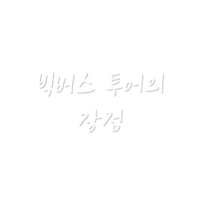 빅버스 투어의 장점