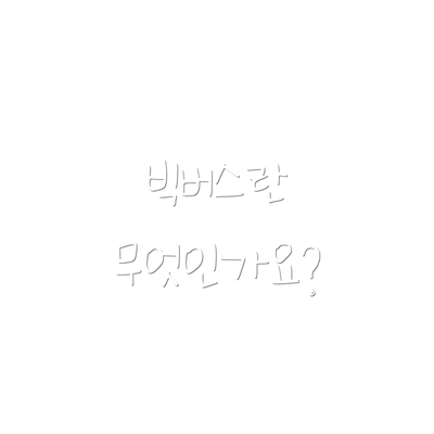 빅버스란 무엇인가요?