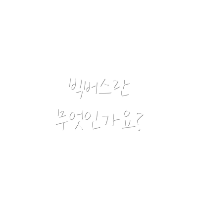 빅버스란 무엇인가요?