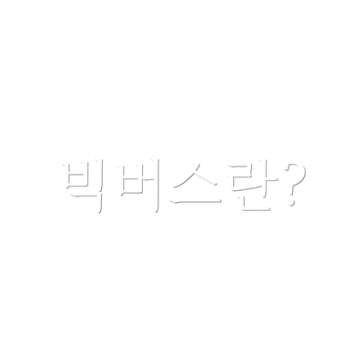 빅버스란?