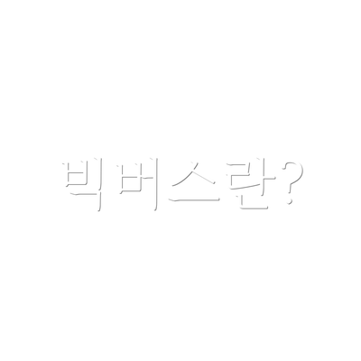 빅버스란?