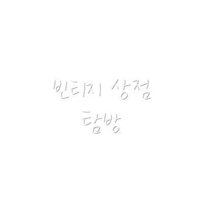 빈티지 상점 탐방