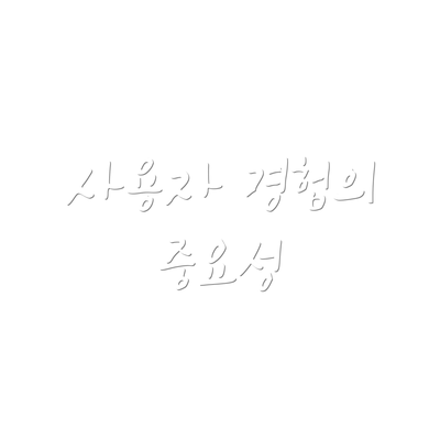 사용자 경험의 중요성