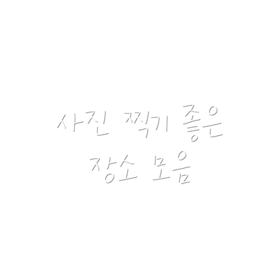 사진 찍기 좋은 장소 모음