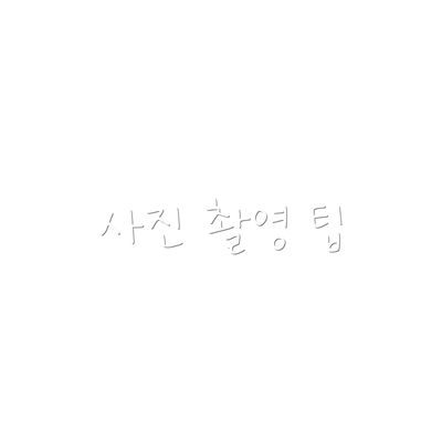 사진 촬영 팁