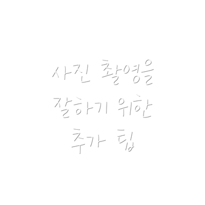 사진 촬영을 잘하기 위한 추가 팁