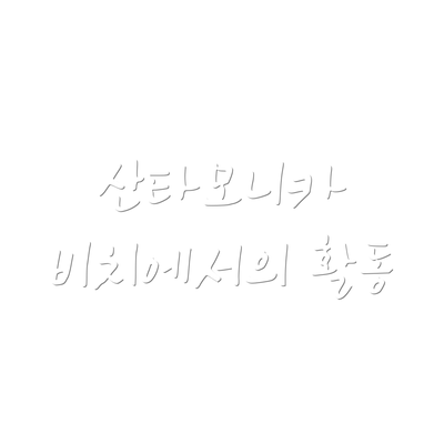 산타모니카 비치에서의 활동