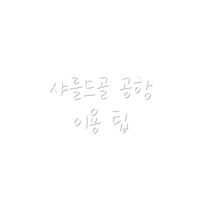샤를드골 공항 이용 팁