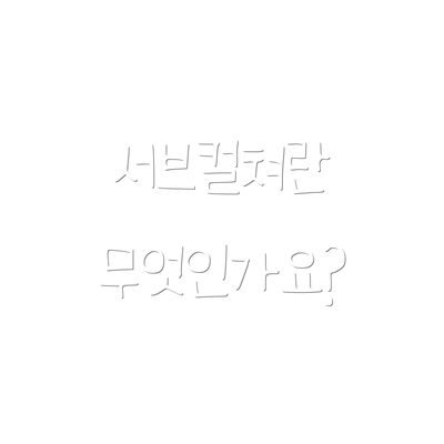 서브컬쳐란 무엇인가요?