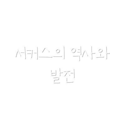 서커스의 역사와 발전