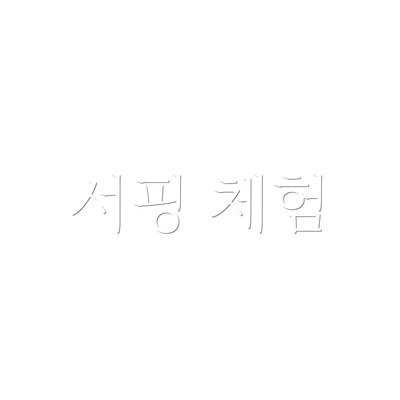 서핑 체험