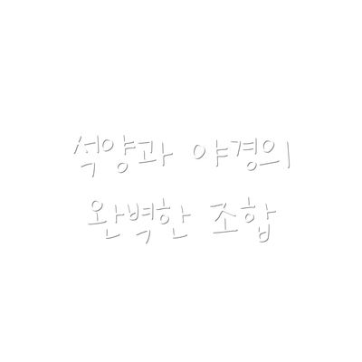 석양과 야경의 완벽한 조합