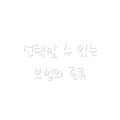선택할 수 있는 보험의 종류