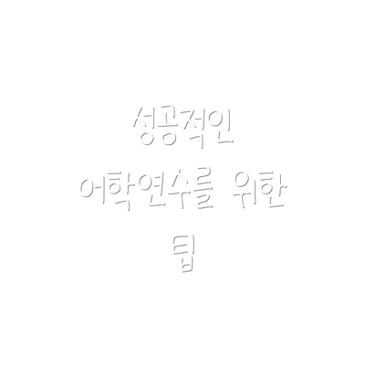 성공적인 어학연수를 위한 팁