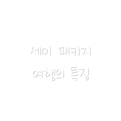 세미 패키지 여행의 특징
