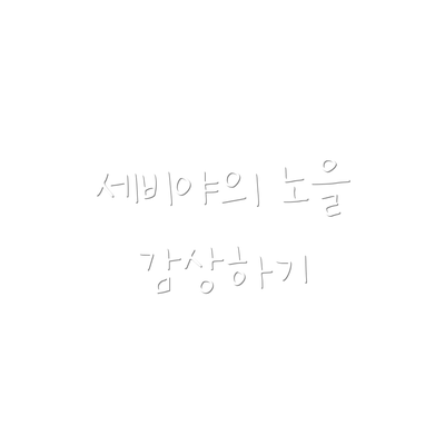 세비야의 노을 감상하기