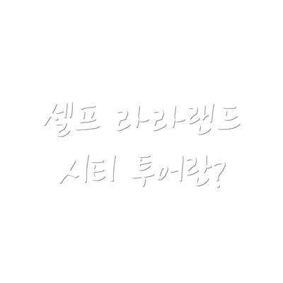 셀프 라라랜드 시티 투어란?