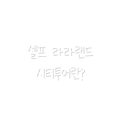 셀프 라라랜드 시티투어란?