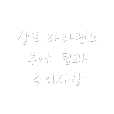 셀프 라라랜드 투어:  팁과 주의사항