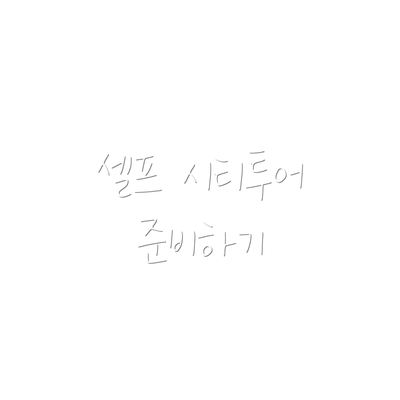 셀프 시티투어 준비하기