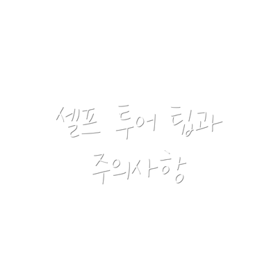 셀프 투어 팁과 주의사항