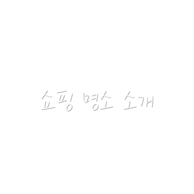 쇼핑 명소 소개