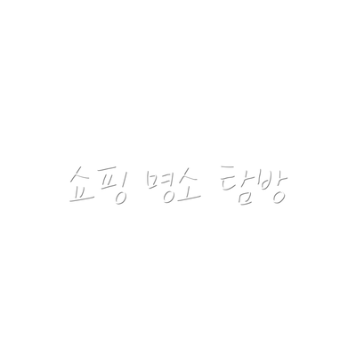 쇼핑 명소 탐방