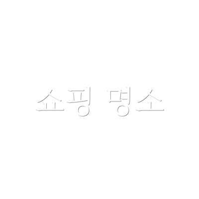 쇼핑 명소