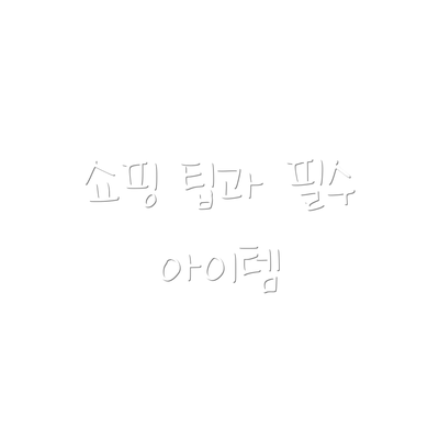 쇼핑 팁과 필수 아이템